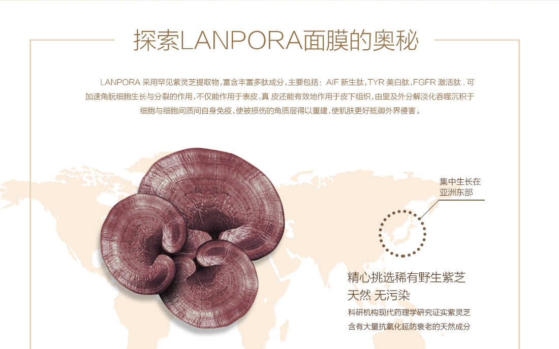 LANPORA灵芝萃取多肽精华